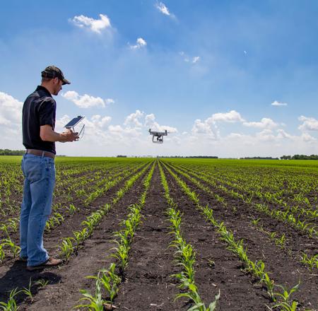 A farmer flies a drone. Photo: iStockphoto
