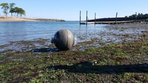 GuardBot's spherical and amphibious robotic vehicle. Photo: Alliances by Alisa Media Relations
