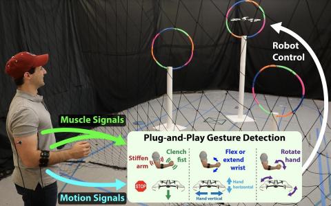 A team from MIT’s Computer Science and Artificial Intelligence Laboratory has developed “Conduct-A-Bot,” which uses human muscle signals from wearable sensors to pilot a robot’s movement. Photo: MIT