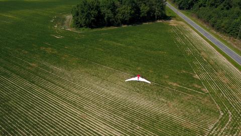 A PrecisionHawk agriculture drone in flight. Photo: PrecisionHawk