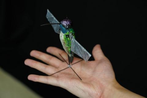 Purdue University researchers are building robotic hummingbirds that learn from computer simulations how to fly like a real hummingbird does. The robot is encased in a decorative shell. Purdue University photo/Jared Pike
