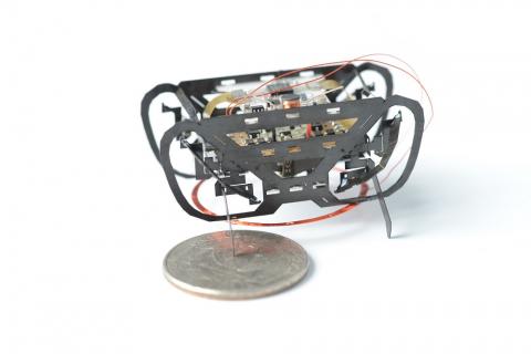 Engineers are creating small climbing robots, inspired by the way insects climb, that could potentially serve, among many uses, as agile teammates to search-and-rescue personnel. Credit: Wyss Institute at Harvard University