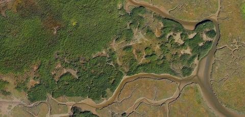 Deliverable Example: Orthomosaics generated from mapping data captured by drone. Photo: Terra Drone Europe