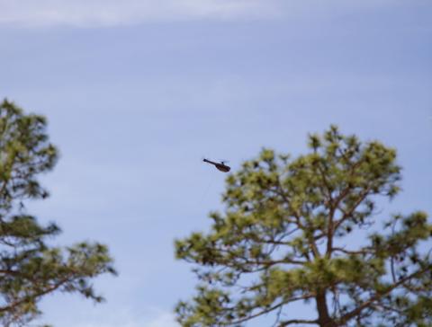 The Soldier Borne Sensors air vehicle flies in the sky during the SBS fielding at Ft. Bragg, N.C., May 2, 2019. The air vehicles are small, highly maneuverable airborne sensors that will serve to reduce the risk to Soldiers. Photo Credit: Patrick Ferraris