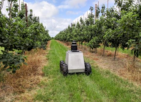 Cambridge Consultants' Mamut autonomous robot explores crop fields, capturing data on health and yield at the level of individual plants and on a massive scale. Photo: Cambridge Consultants